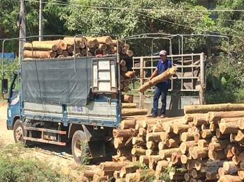 Xuất khẩu đồ gỗ 2020 vẫn sẽ cán đích 12,5 tỷ USD ?